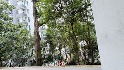 Holland Peak (D10), Condominium #619914091